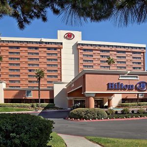 Hilton Concord